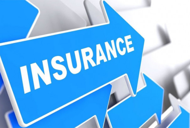 २७ बीमा कम्पनीको सेयरभाउ घट्यो, कुनको कति ?