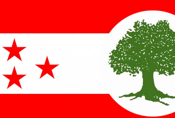 कांग्रेसको आपतकालीन विज्ञप्ति: प्रकोपमा ७ बुँदामा ध्यान दिन अपील