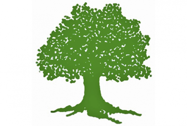 एक जितसहित १२ स्थानमा कांग्रेसको अग्रता, कुन-कुन ? (सूचिसहित)