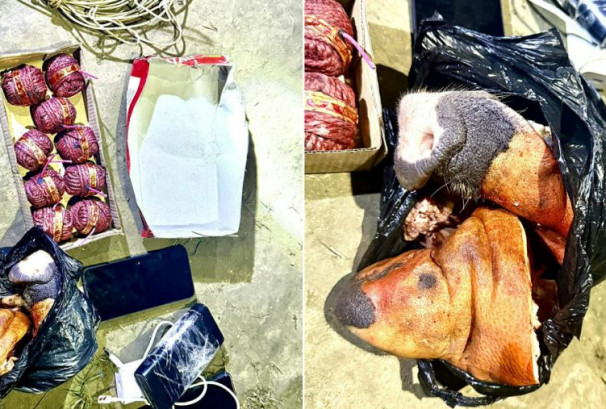 मस्जिद लक्षित उक्साहटको योजना फेल : प्रहरी अपरेशनमा बम र सुँगुरको टाउको बरामद