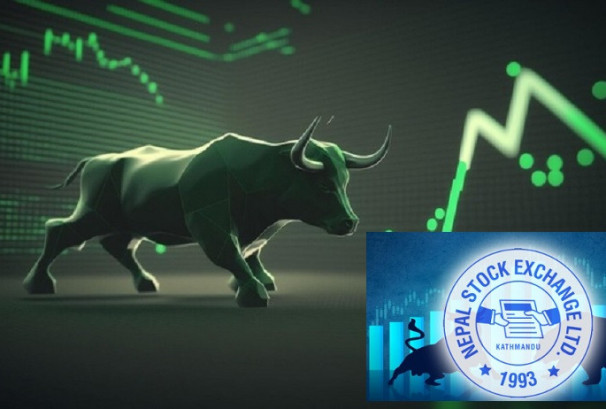 राष्ट्रिय सभामा प्रवेश गर्यो सेयरबजारको मामिला, ठूला लगानीकर्ता टिकाई राख्नुपर्नेमा जोड