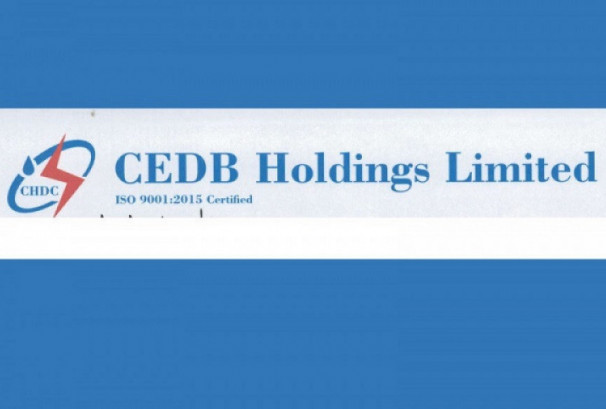 सिईडिबी होल्डिङ्सको अध्यक्षमा न्यौपाने नियुक्त