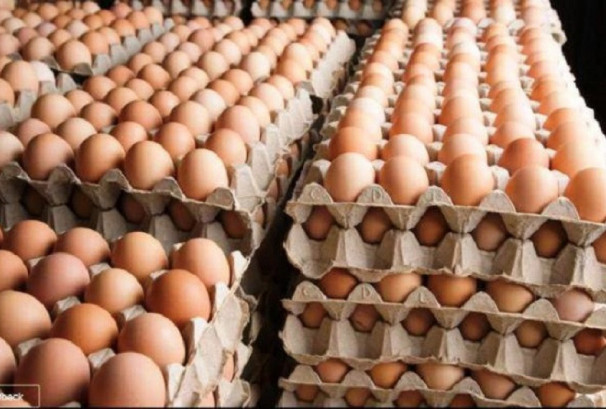 फेरि बढ्यो अण्डाको मूल्य, प्रतिक्रेट कति ?