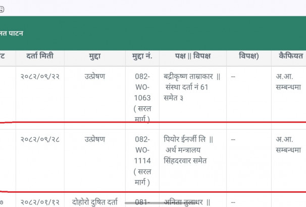 दोहोरो आईजीन आउन नदिने पियोर इनर्जीको प्रयास विफल, अदालतले दिएन अन्तरिम आदेश