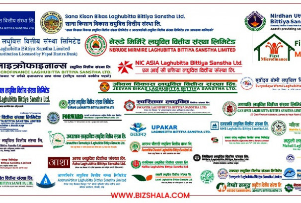 लघुवित्तको नाफामा सुधार: ३५ संस्थाको एनपीएल अझै ५% माथि, लाभांश क्षमतामा कुन कति अब्बल ?