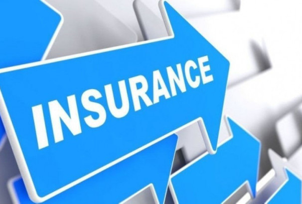 १९ बीमा कम्पनीको सेयरभाउ बढ्यो, सर्वाधिक गुमाउनेमा सिटिजन लाइफ