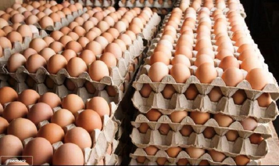 भोलिदेखि अण्डाको भाउ फेरि बढ्ने, प्रतिक्रेट कति ?