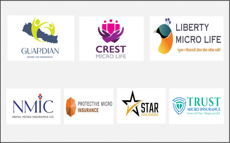 लघुबीमा व्यवसाय १८.८१% ले बढ्यो, स्टार माइक्रो इन्स्योरेन्सको कस्तो छ प्रदर्शन ?