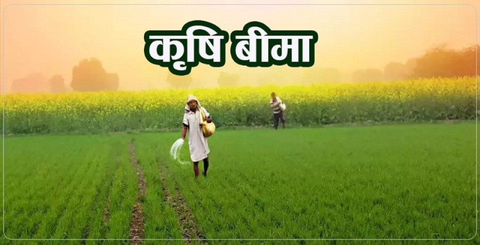 कृषि बीमामा ९०% सम्म अनुदान दिने नेपाली कांग्रेसको घोषणा