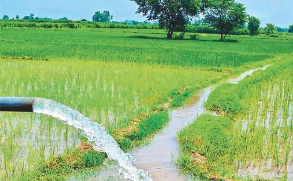 देशभर सिँचाइ विस्तार सुस्त, किसान अझै वर्षामै निर्भर