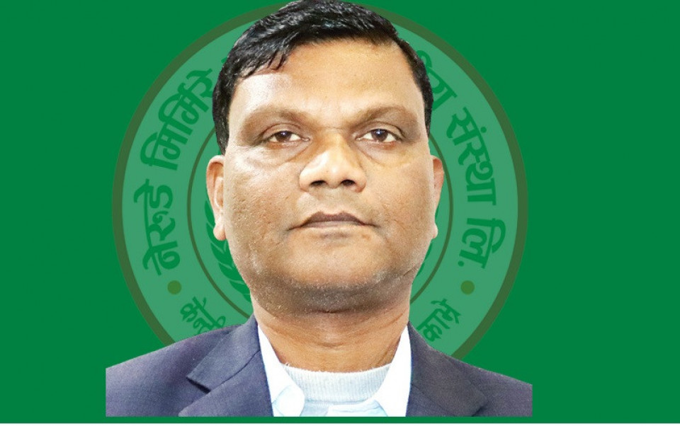 नेरुडे मिर्मिरे लघुवित्तको कामु सीईओको जिम्मेवारी साहुलाई