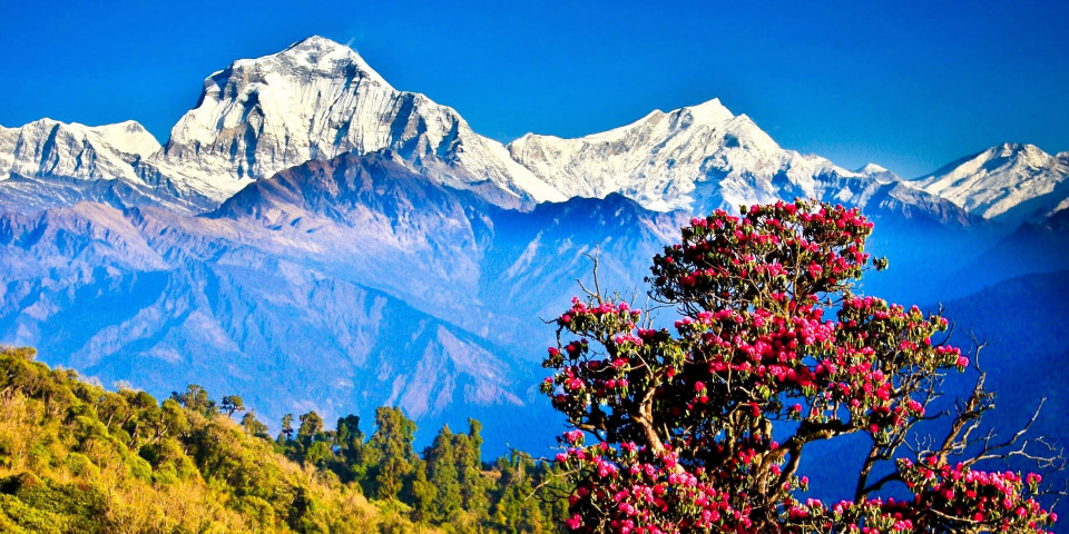 प्रकृतिसँग जोडिएका विश्वका देश: नेपाल पहिलो नम्बरमा, अमेरिका र बेलायत धेरै पछाडि