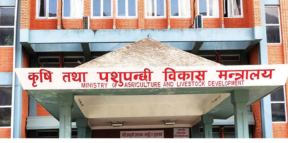 लक्ष्यको ९४ प्रतिशत रासायनिक मल आपूर्ति, गोदाममा अझै ९२ हजार टन मौज्दात